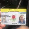Order New South Wales Driving License